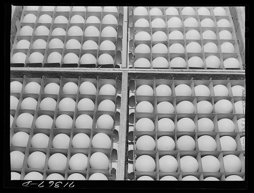 Sonoma County, California. Eggs
