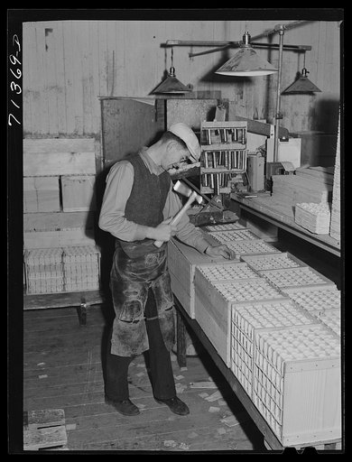 Petaluma, Sonoma County, California. Closing crates of eggs in packing plant