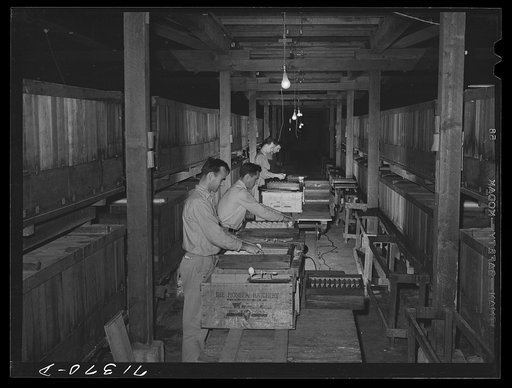 Petaluma, Sonoma County, California. Packing crates of eggs in packing plant