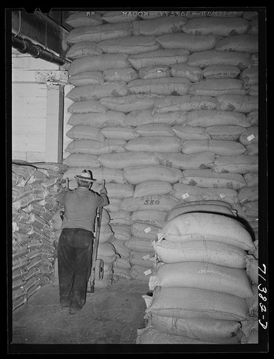 Petaluma, Sonoma County, California. Sacks of feed in warehouse