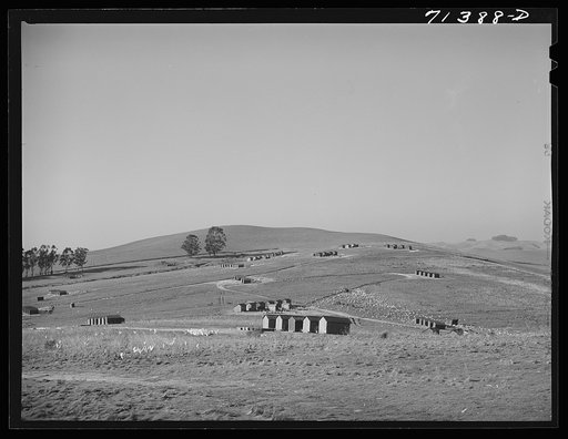 Sonoma County, California. Chicken ranch