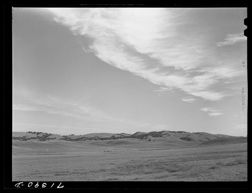 Sonoma County, California. Landscape