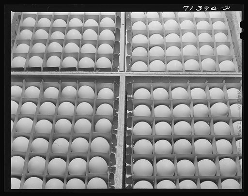 Untitled photo, possibly related to: Sonoma County, California. Eggs
