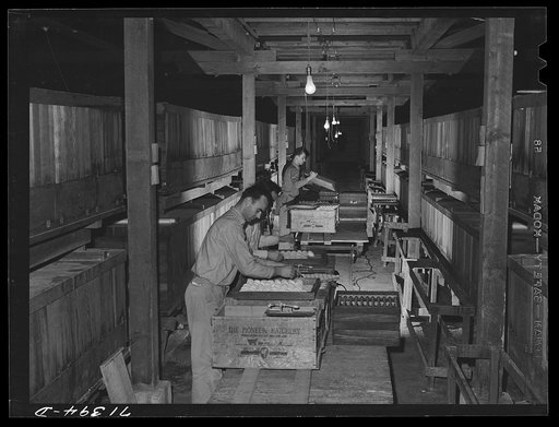 Untitled photo, possibly related to: Petaluma, Sonoma County, California. Packing crates of eggs in packing plant