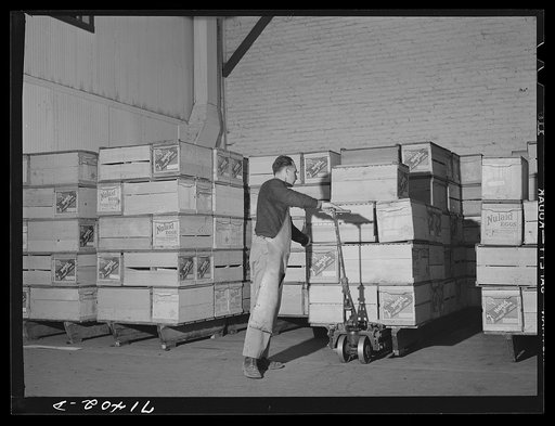 Petaluma, Sonoma County, California. Crates of eggs in a packing plant