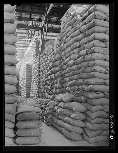 Untitled photo, possibly related to: Petaluma, Sonoma County, California. Feed in warehouse