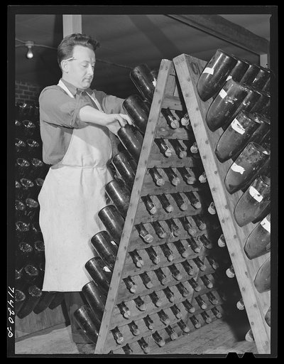 Sonoma County, California. Champagne which is fermenting in the bottle is shaken daily in the vaults at the winery