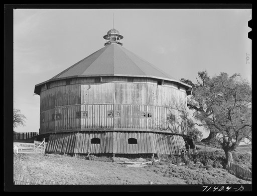Untitled photo, possibly related to: Sonoma County, California. Horse barn at vineyards