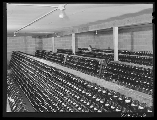 Sonoma County, California. Champagne fermenting in the bottles at winery