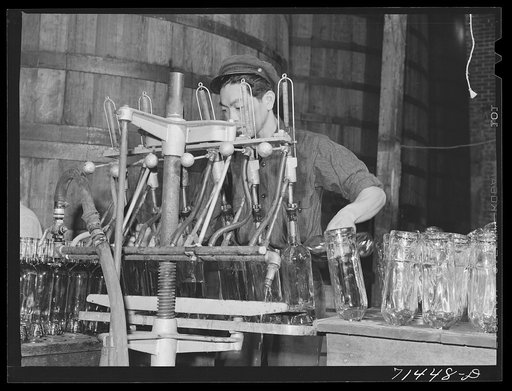 Sonoma County, California. Washing wine bottles at the winery
