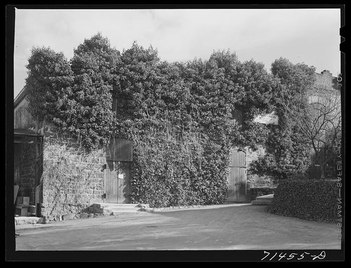 Sonoma County, California. Winery