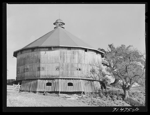 Sonoma County, California. Horse barn at vineyards