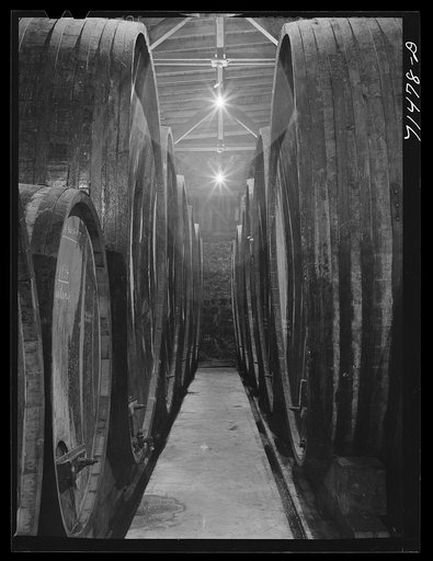 Sonoma County, California. Casks of aging wine at the winery