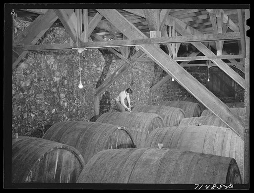 Sonoma County, California. Casks of wine in the winery