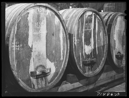 Sonoma County, California. Casks of aging wine in the winery