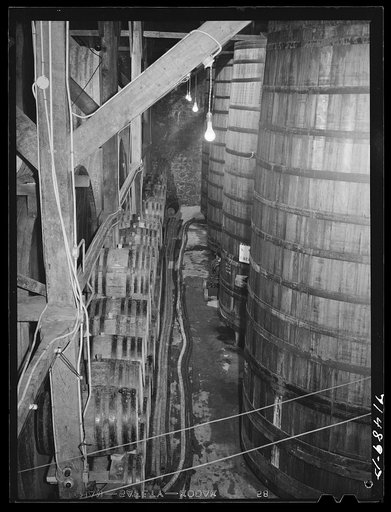 Untitled photo, possibly related to: Sonoma County, California. Casks of aging wine