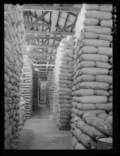 Sonoma County, California. Feed warehouse