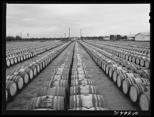 Untitled photo, possibly related to: Barrels of pickled olives, Strathmore, California