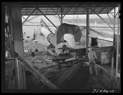 After the chopped olives have been pressed twice for removal of oil, the remaining cake goes through this drying machine; next, the "soap" oil is extracted by means of a solvent. Strathmore, California