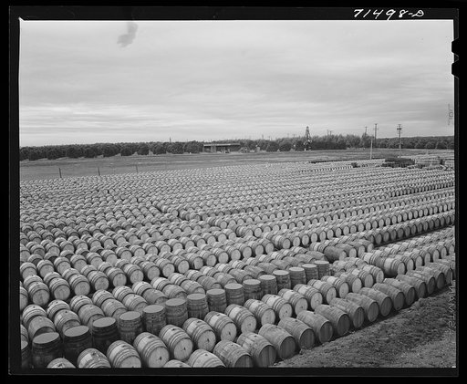 Barrels of pickled olives. Strathmore, California