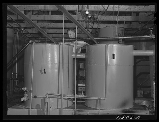 After the oil is extracted from chopped olives by means of hydraulic pressure, the oily mixture is pumped into settling tanks where the oil rises to the top and the non-oily liquids sink to the bottom. Lindsay, California
