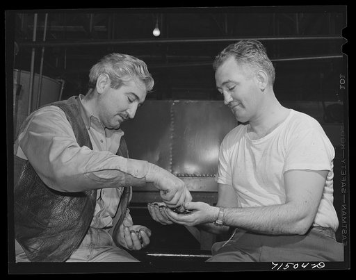 Two Maselli brothers, Californians who grow olives, make olive oil, and also pickle olives. Strathmore, California