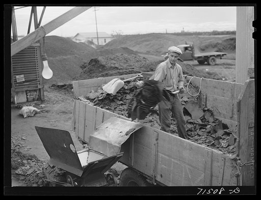 Handling the cake from which "soap" oil will be extracted by means of a solvent. Strathmore, California
