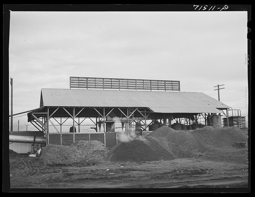 Untitled photo, possibly related to: A byproducts plant in olive oil industry. The mounds are the pomace left after "soap" oil is extracted. This pomace has some value as a fertilizer. Strathmore, California