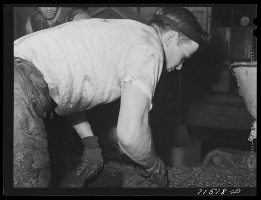 Untitled photo, possibly related to: Workmen put crushed olives into heavy bags which will be put under hydraulic pressure to extract the oil. It takes an average of fifty-six pounds of olives to make a gallon of oil. Lindsay, California