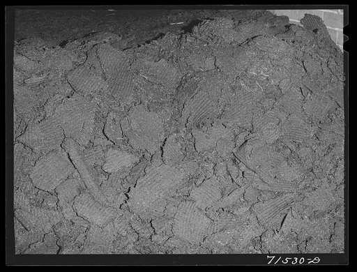 The cake from which "soap" oil is extracted by means of a solvent. Strathmore, California