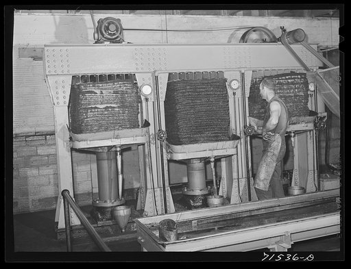 Bags full of olive pulp in hydraulic presses for extraction of oil. The pulp is pressed two different times under differet degrees of pressure and this produces two distinct qualities of oil. Lindsay, California