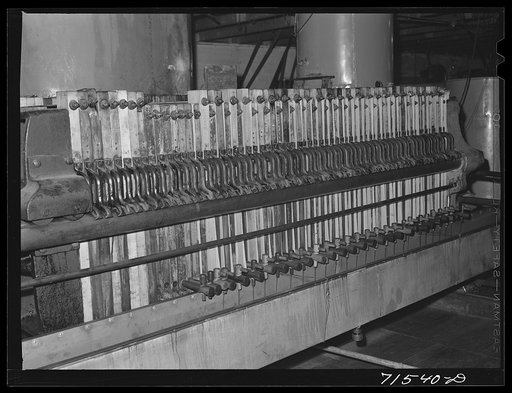 Untitled photo, possibly related to: Oil is filtered with diatomaceous earth to produce a palatable, clear product. One of the largest plants in the United States is in Lindsay, California. This plant can turn out about 800 gallons of oil in twelve hours