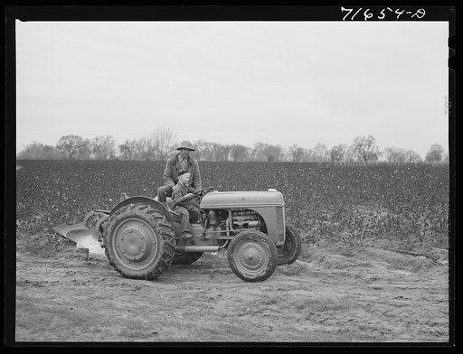 Untitled photo, possibly related to:  Tulare County, California. Farmer teaching his six-year old son to drive the tractor