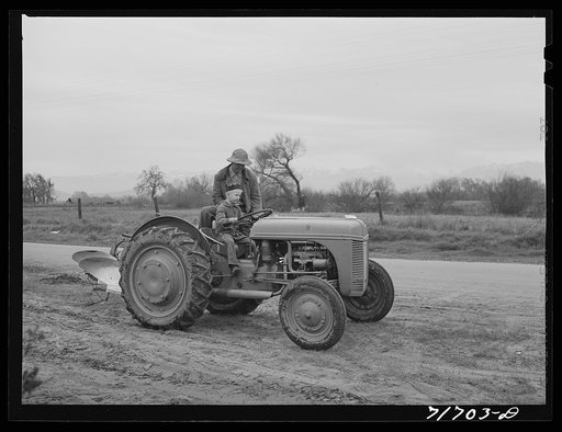 Tulare County, California. Farmer teaching his young son to drive the tractor
