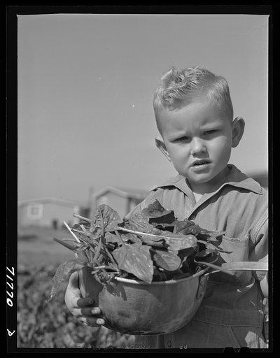 Untitled photo, possibly related to: Woodville, California. FSA (Farm Security Administration) farm workers' community. Son of an agricultural worker
