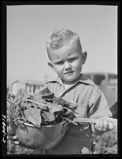Woodville, California. FSA (Farm Security Administration) farm workers' community. Son of an agricultural worker