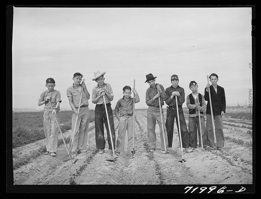 Eleven Mile Corner, Arizona. FSA (Farm Security Administration) farmworkers' community. Boys learning to garden in the vocational training class. This is vocational training as provided for in the Smith-Hughes bill