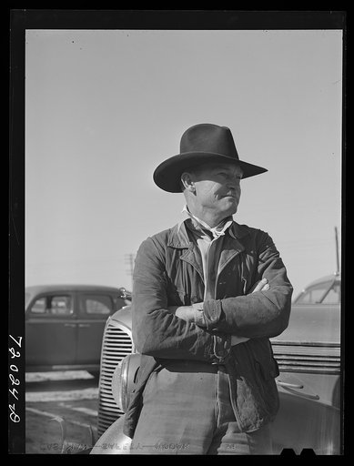 Cattleman. Imperial County, California