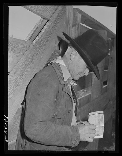 Imperial County, California. Cattleman notes down number of head of cattle shipped