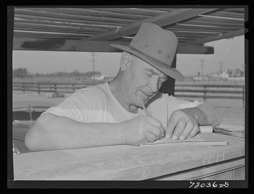 Cattleman. Imperial County, California
