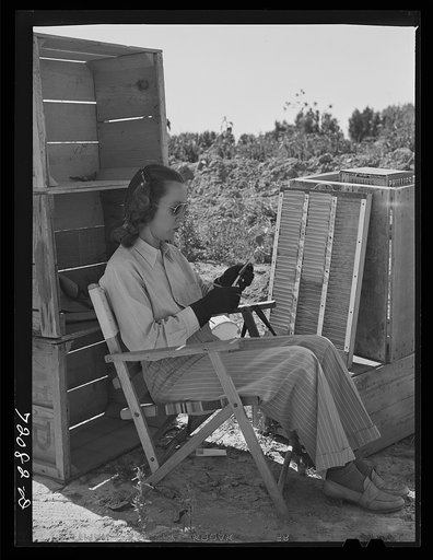 Wife of farmer checks in hamper of picked peas. Imperial County, California