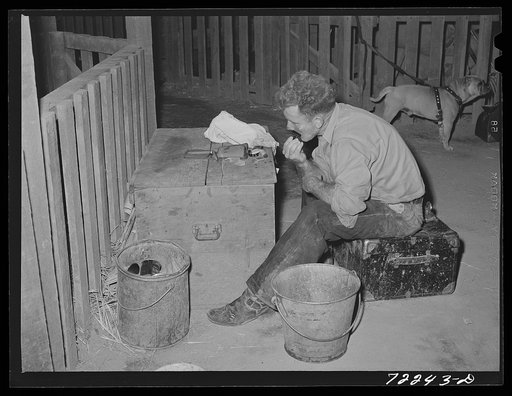 In the stock show barns at the Imperial County Fair, California