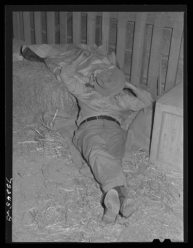 In the stock show barn at the Imperial County Fair, California