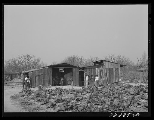 Los Angeles County, California. The evacuation of Japanese and Japanese-Americans from West coast areas, under United States Army war emergency order. Japanese often own farm buildings on leased farm land. These buildings were difficult to sell because the land was often rented to white farmers who 