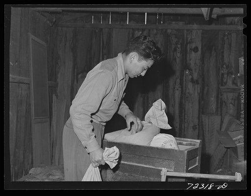 Los Angeles County, California. The evacuation of Japanese and Japanese-Americans from the West coast areas under Army war emergency order. Japanese farmer packs seed which he will carry with him