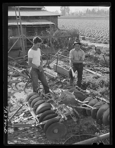 Los Angeles County, California. Farmer looking at farm equipment which a Japanese farmer wants to sell before he is evacuated from West coast area under US Army war emergency order