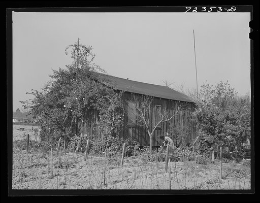 Los Angeles County, California. House of a Japanese farmer. Disposal of these buildings which are owned by Japanese but are on rented land has presented a problem because the land is often rented by white farmers who are adding to their own holdings and who consequently do not need the buildings