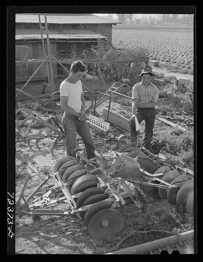 Untitled photo, possibly related to: Los Angeles County, California. Farmer looking at farm equipment which a Japanese farmer wants to sell before he is evacuated from West coast area under US Army war emergency order