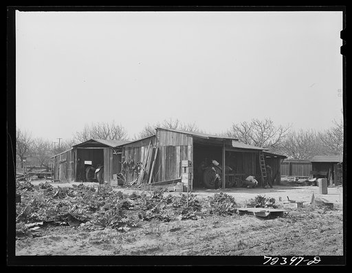 Los Angeles County, California. Farm buildings of Japanese