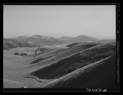 Untitled photo, possibly related to: San Benito County, California. Low hills which are grazing land for cattle and sheep